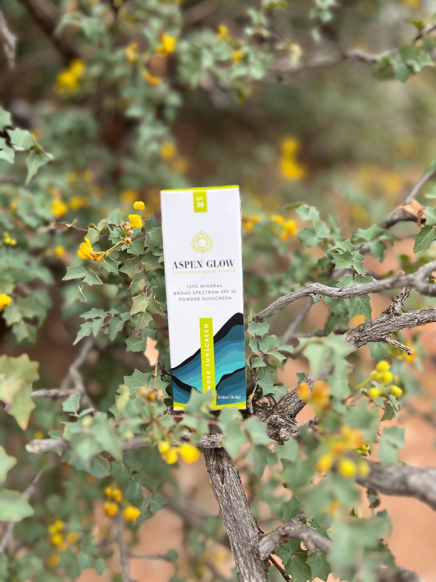 Translucent Pwd Sunscreen