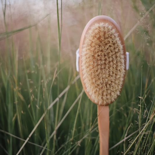 Body brush with handle