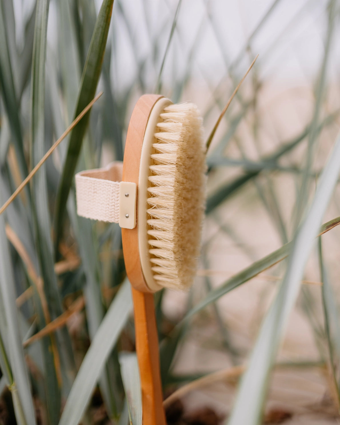 Body brush with handle